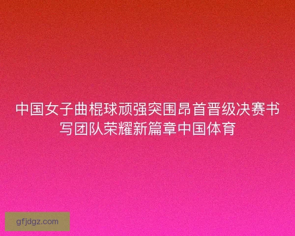 中国女子曲棍球顽强突围昂首晋级决赛书写团队荣耀新篇章中国体育