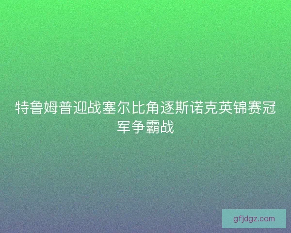 特鲁姆普迎战塞尔比角逐斯诺克英锦赛冠军争霸战 特鲁姆普迎战塞尔比角逐斯诺克英锦赛冠军争霸战